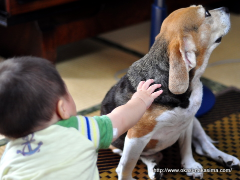 モモちゃんにタッチ