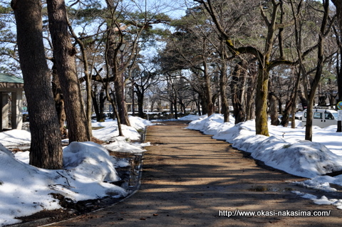 雪残る高田公園