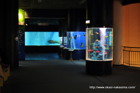 上越水族博物館入り口