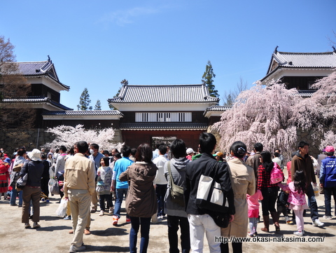 上田城・東虎口櫓門と桜 上田城・東虎口櫓門と桜