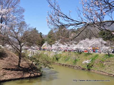 上田城のお堀と桜 上田城のお堀と桜
