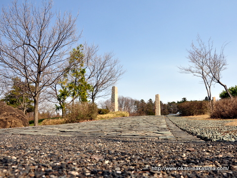 美山公園の道 美山公園の道