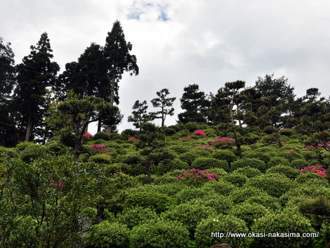 月華山かねこつつじ園 月華山かねこつつじ園