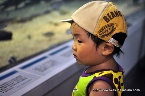 水槽をのぞく息子