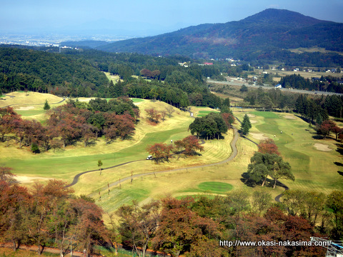 観覧車からの眺め