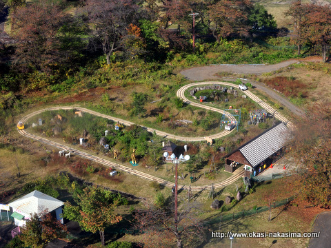 ジャングル探検アトラクション