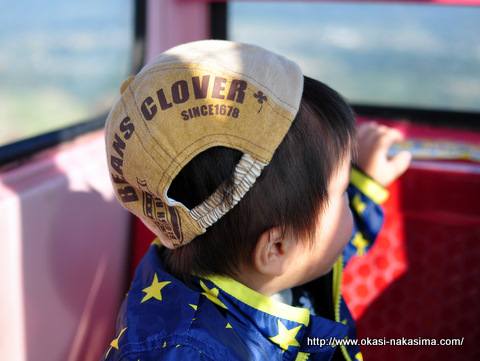 観覧車での息子の後姿