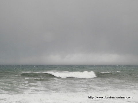 日本海の波