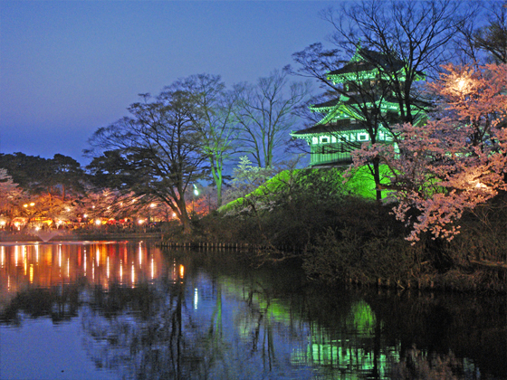 高田公園の夜桜 高田公園の夜桜