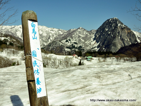 撮影スポット手前