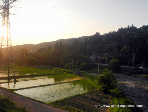夕暮れ迫る水田