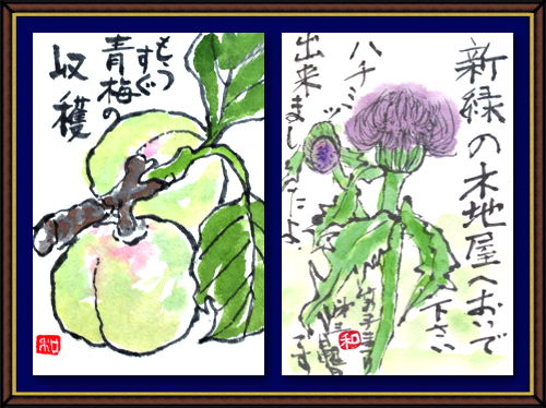 奴奈川絵手紙の会さんの絵手紙