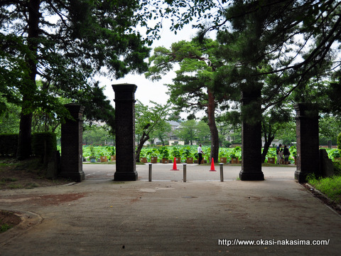 高田公園のお堀