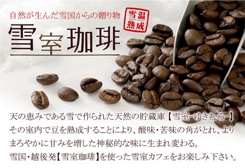 雪室珈琲 雪室珈琲