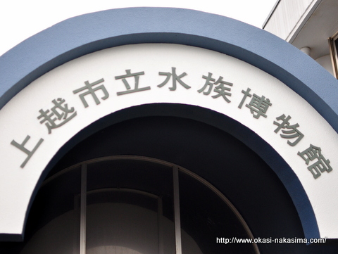 上越市立水族博物館 上越市立水族博物館