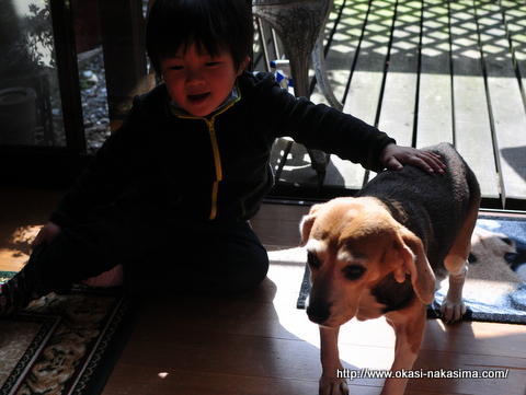 息子とモモちゃん