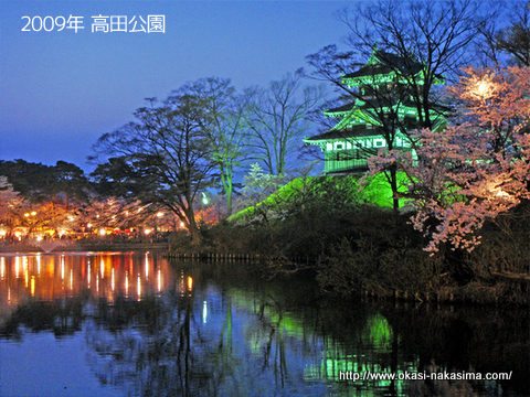 2009年高田公園の夜桜