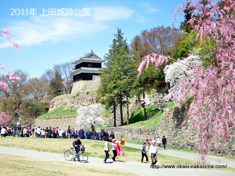 2011年上田城跡公園の千本桜