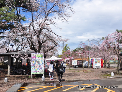 観桜会会場