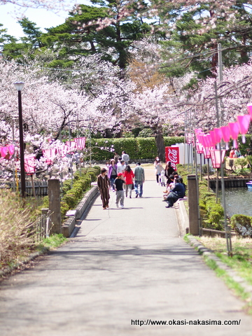 桜 桜