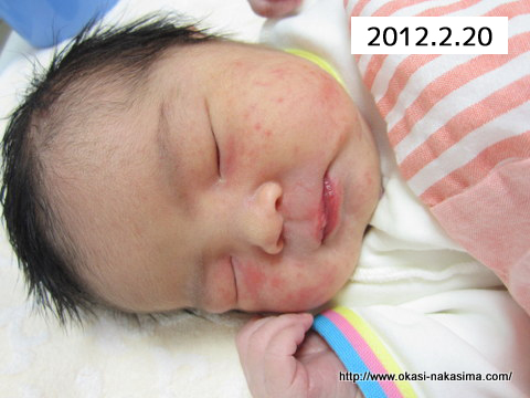 産まれたばかりの写真