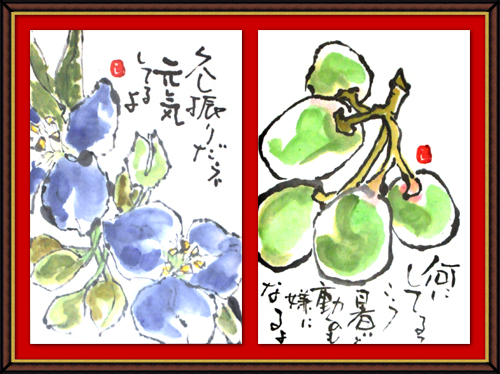 平成25年7月・奴奈川絵手紙の会さんの絵手紙