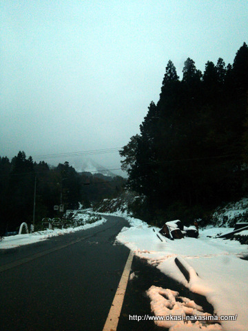 根知