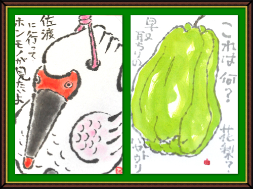 奴奈川絵手紙の会さんの絵手紙