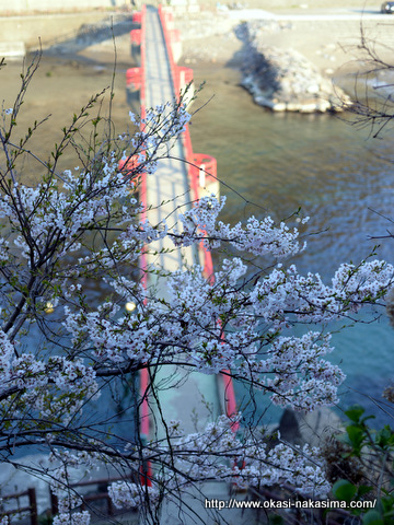 あけぼの橋と桜 あけぼの橋と桜