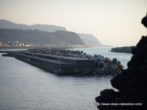 海鳥たちも休憩中